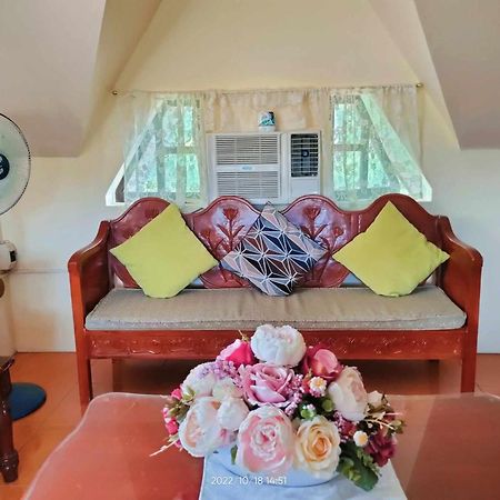 Valencia  Belfort House B&B المظهر الخارجي الصورة