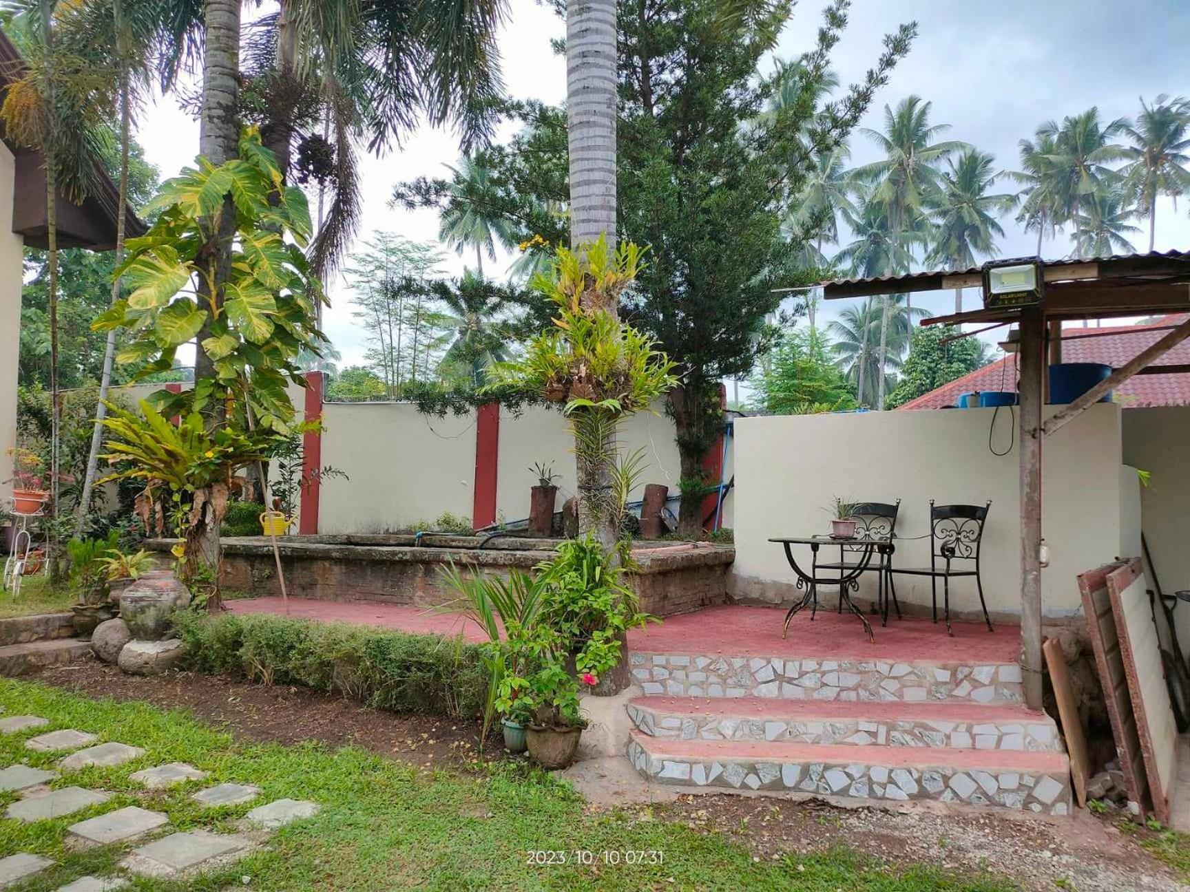 Valencia  Belfort House B&B المظهر الخارجي الصورة